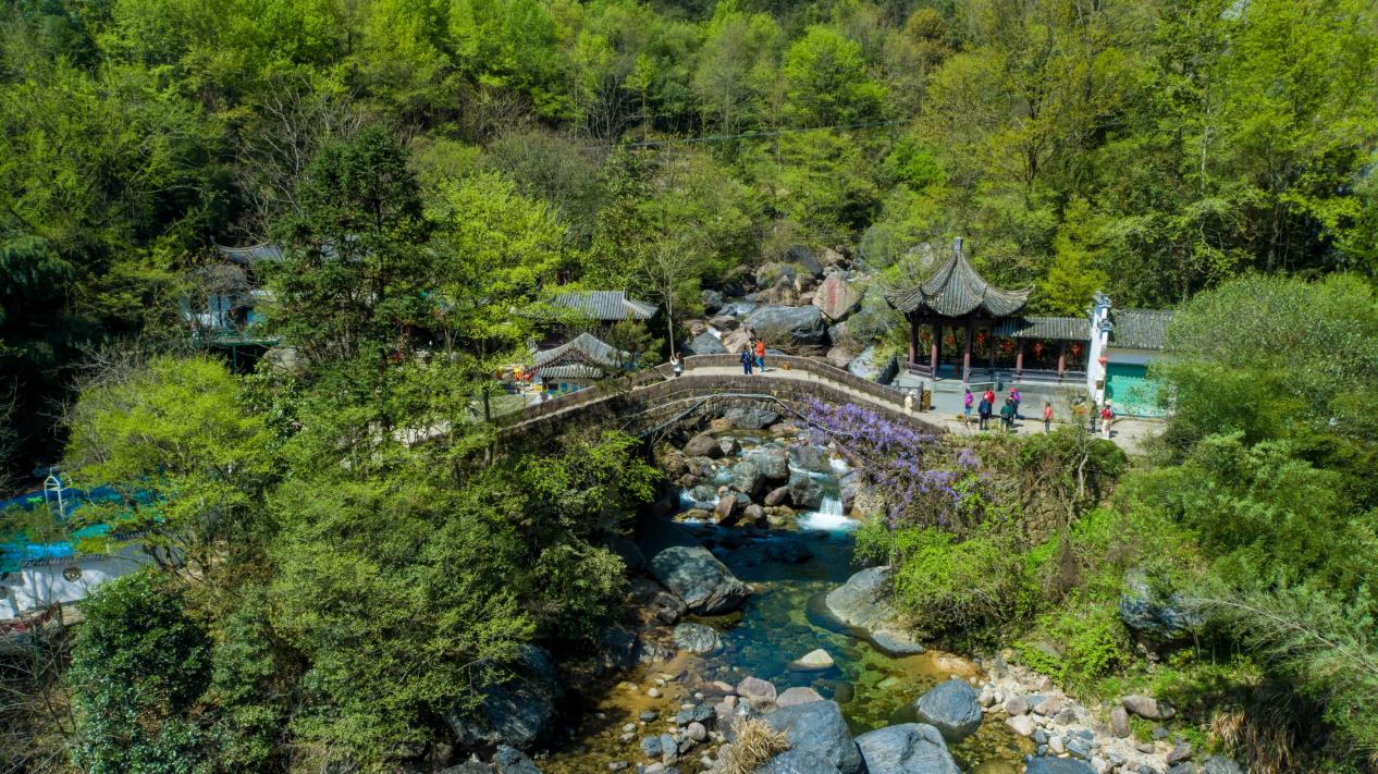 1782897206746192.jpg 图片2.jpg